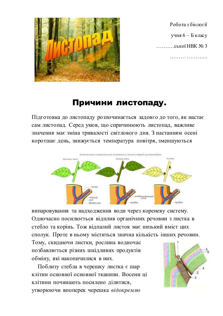 Реферат На Тему Листопад Реферат На Тему Листопад